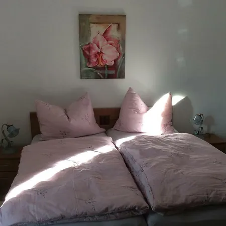 Апартаменты Haus Geiger *