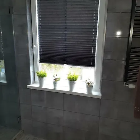 Apartman Haus Geiger *