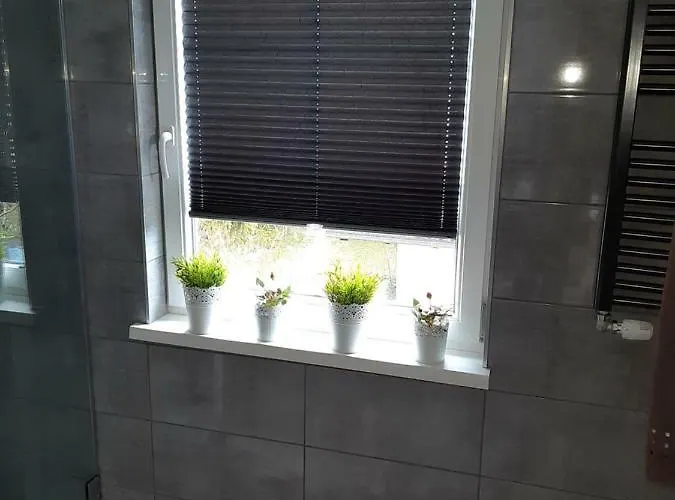 アパート Haus Geiger *