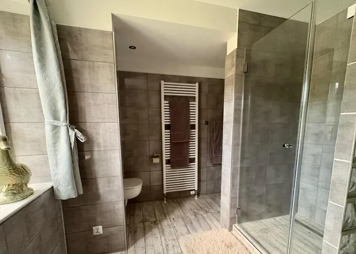 Haus Geiger شقة *